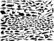vector fish