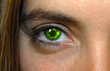 oeil du photographe 2