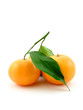 Tangerines Tangerines
