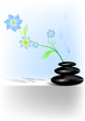 spa stones with flower and water drops