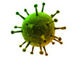 isolierter virus