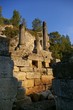 Les antiques à Saint Rémy de provence