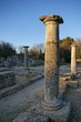 Les antiques à Saint Rémy de provence