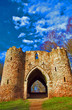 Colourful Castle