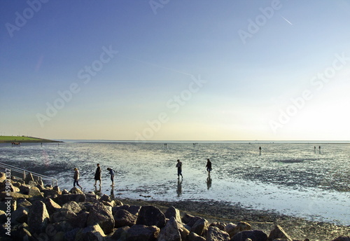 Wattenmeer4 Wattenmeer4