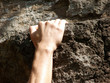 hand 
