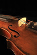 Violin on black