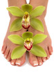 Pedicured feet 