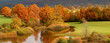 Autumn coloured trees 
