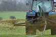 Fertilizing.