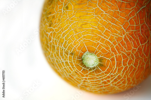 Photo: melon-2 melon-2