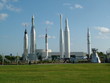 Rocket Garden