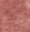 Testura_2