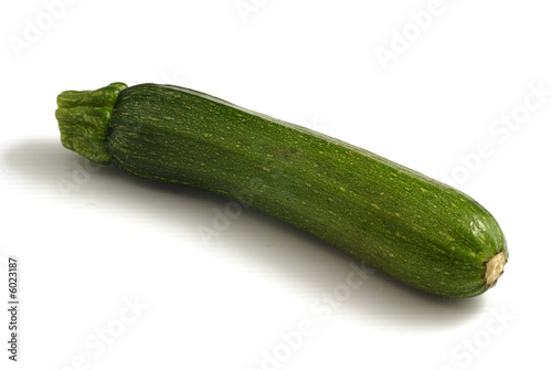 zucchina zucchina