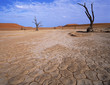 namib