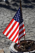 U.S. Flag