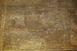 Photo: Paintings at Edfu Temple Egypt Paintings at Edfu Temple Egypt