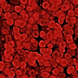 An illustration of red blood cells flowing through the body
