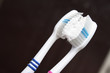 On a photo two tooth-brushes with a tooth-paste. 