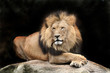Leone