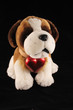 Dog with heart on black
