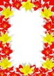 Frame with red & yellow tulips
