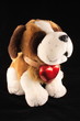 Dog with heart on black