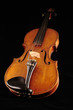 Violin on black