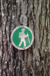 Hiking through the forest Hiking through the forest
