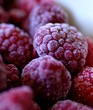 fruit congelé - framboises surgelées fruit congelé - framboises surgelées