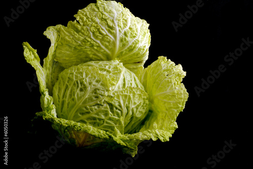 cavolo
