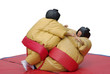 sumo 2