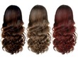brun blond roux