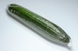 Salatgurke