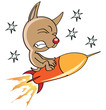 space dog