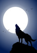 Wolf and moon