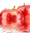 red apple - manzana roja