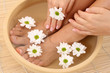 beautiful legs and hands with perfect french pedicure