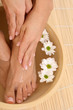 beautiful legs and hands with perfect french pedicure