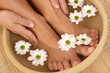 beautiful legs and hands with perfect french pedicure
