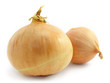 Onion