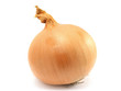 Onion