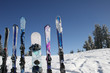skiel 2
