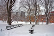 Boston Winter..