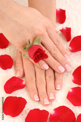 beautiful hands with french manicure