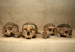 Skulls