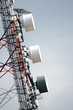 Cellular Antenna