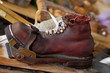 Ski shoe Ski shoe