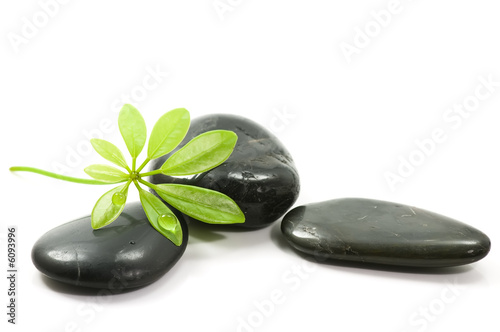 Therapy stones