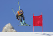 Ski
